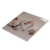 Puppy en konijn tegeltje (Zijkant)