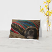 Puppy en Kussen Kaart (Gele Bloem)