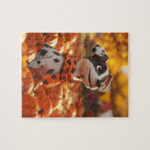 Puppy en pompoenen Puzzel (Horizontaal)