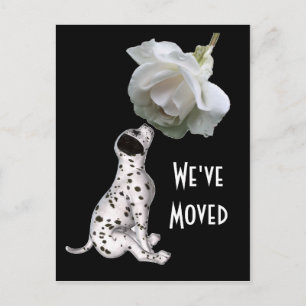 Puppy en Roos nieuw adres Briefkaart