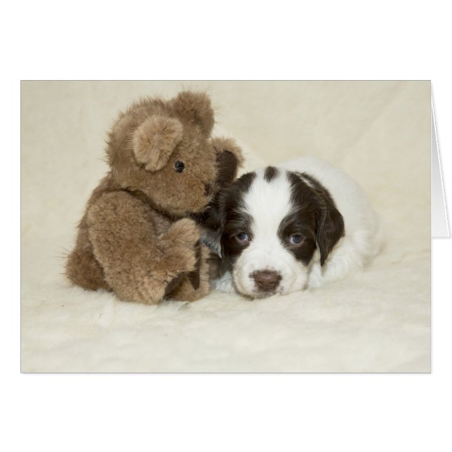 Puppy en Teddy (Voorkant Horizontaal)