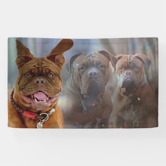 Puppy en vrienden spandoek (Horizontaal)