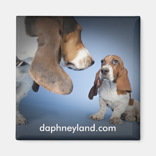 Puppy Encounter Magnet (Voorkant)