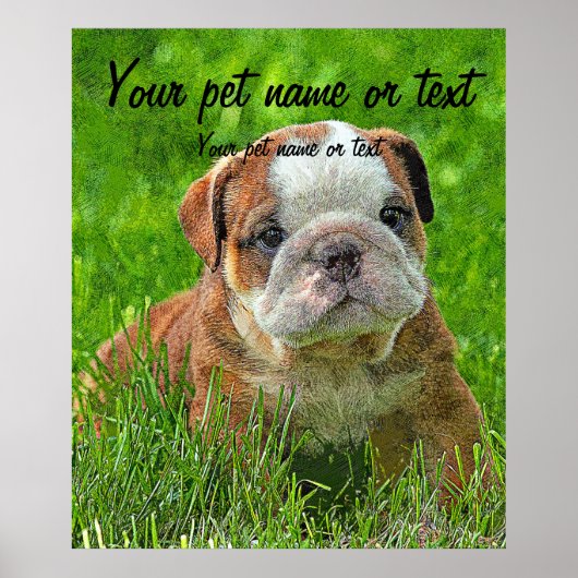 Puppy English Bulldog in the Meadow Poster (Voorkant)