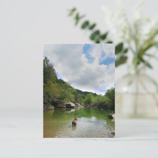 Puppy Exploring Barton Creek - Austin Texas Briefkaart (Staand voorkant)
