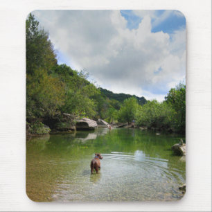 Puppy Exploring Barton Creek - Austin Texas Muismat