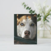 Puppy Eyes Briefkaart (Staand voorkant)