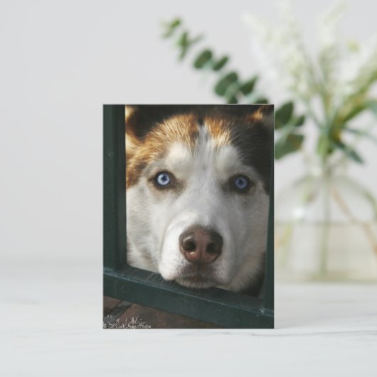 Puppy Eyes Briefkaart (Staand voorkant)