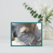 Puppy Eyes Briefkaarten (Staand voorkant)