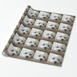 Puppy Eyes Cadeaupapier