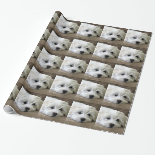 Puppy Eyes Cadeaupapier (Uitgerold)