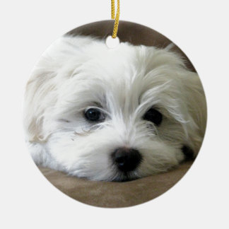 Puppy Eyes Keramisch Ornament