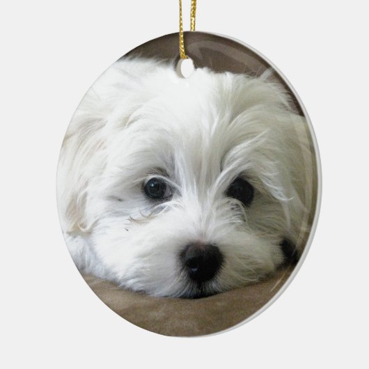 Puppy Eyes Keramisch Ornament (Links)