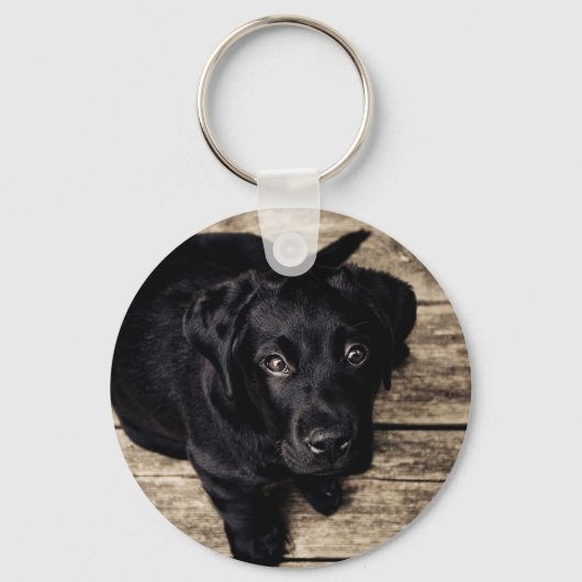 Puppy Eyes Sleutelhanger (Voorkant)