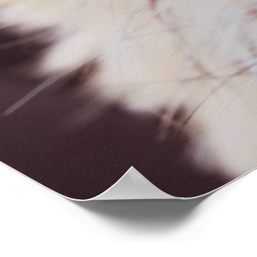 Puppy face close-up Poster (Hoek)