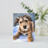 Puppy Feestdagenkaart (Staand voorkant)