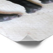 Puppy feet -print poster (Hoek)