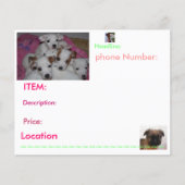 Puppy Flyers (Voorkant)