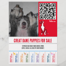 puppy flyers Grote Deen of Honden