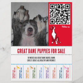 puppy flyers Grote Deen of Honden