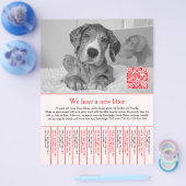 Puppy Flyers Rood (Enkel)