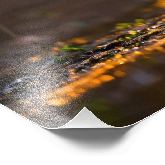 Puppy Foto Afdruk (Hoek)