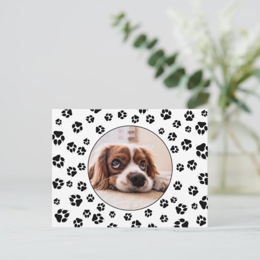 Puppy foto Pawprints Briefkaart (Staand voorkant)
