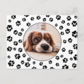 Puppy foto Pawprints Briefkaart (Voorkant)