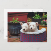 Puppy Friends Briefkaart (Voorkant / Achterkant)