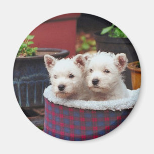 Puppy Friends Magneet