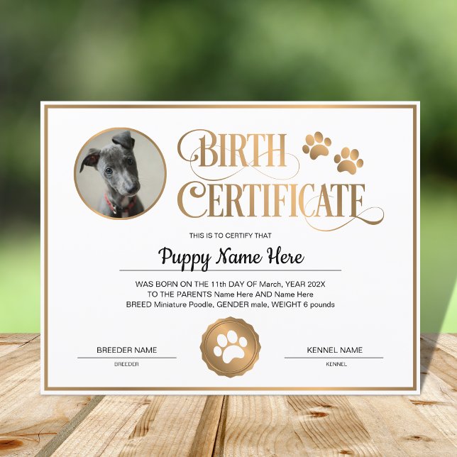 Puppy Geboortecertificaat Plaats Foto Pauw Print (Creator heeft geüpload)