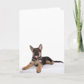puppy German herder Kaart (Voorkant)