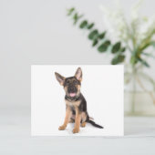 puppy German shepherd Briefkaart (Staand voorkant)