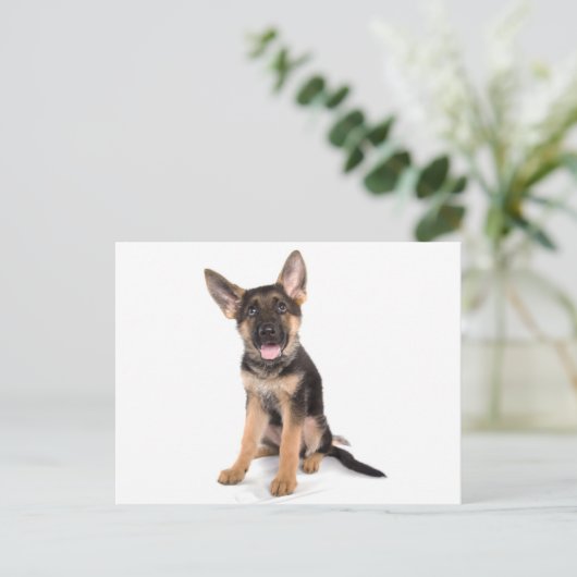 puppy German shepherd Briefkaart (Staand voorkant)