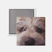 Puppy gezicht close-up magneet (Voorkant / Achterkant)