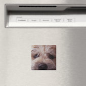 Puppy gezicht close-up magneet (Insitu (Vaatwasser))