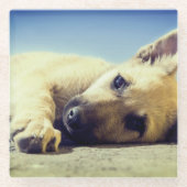 Puppy Glazen Onderzetter (Voorkant)