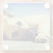 Puppy Glazen Onderzetter (Achterkant)