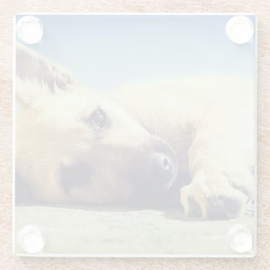 Puppy Glazen Onderzetter (Achterkant)
