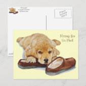 puppy golden recovery dog portret vermist je briefkaart (Voorkant / Achterkant)