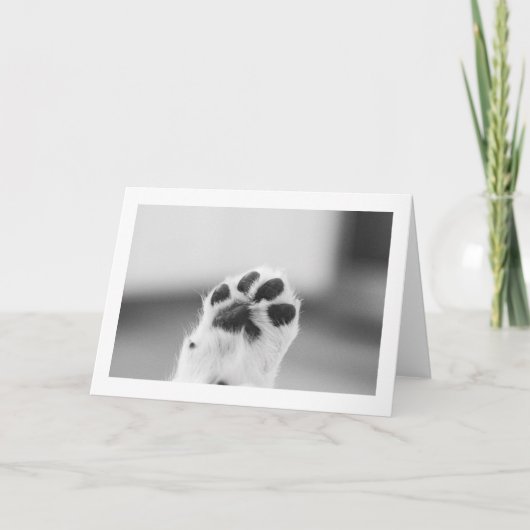 Puppy High Five | Lege kaart (Voorkant)