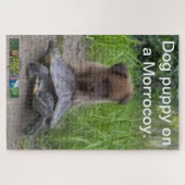 Puppy hond ​​puzzel op een Morrocoy. Legpuzzel (Horizontaal)