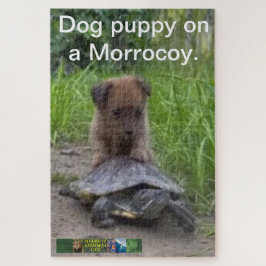 Puppy hond ​​puzzel op een Morrocoy. Legpuzzel