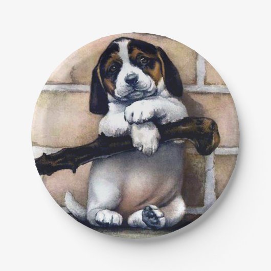 Puppy hond te koop schattige  illustratie beagl papieren bordje (Voorkant)