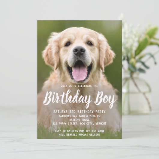 Puppy Hond Verjaardagsfeestje Pet Foto uitnodiging (Staand voorkant)