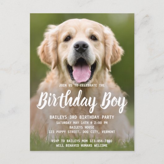 Puppy Hond Verjaardagsfeestje Pet Foto Uitnodiging Briefkaart (Voorkant)