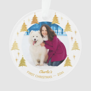 Puppy Honden Eerste Kerstmis Huisdier Foto Wit en Ornament