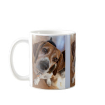 Puppy Hondenliefhebber 3 Aangepaste foto's