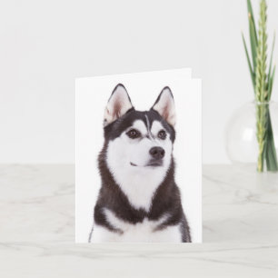 Puppy Hondenliefhebber Siberian Husky Hallo Kaart