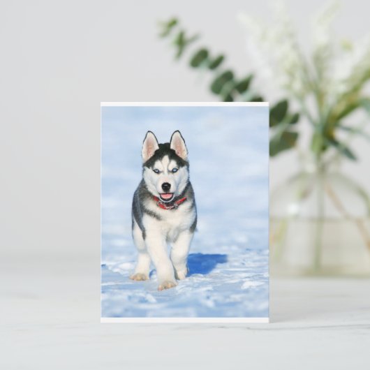Puppy Husky in het winterlandschap Feestdagenkaart (Staand voorkant)